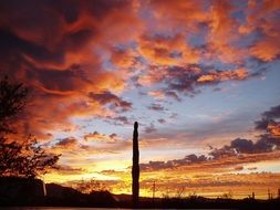 landscape of the Organ Pipe at Sunset