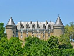 castle fort among greenery