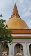 relics of lord buddha behind a tree