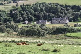 highlands of Scotland