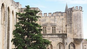 palais des papes in avignon