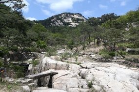 hiking trail in rocky mountains