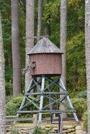 Mill Water Forest