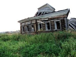 green grass near an abandoned house