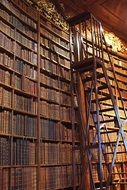 ladder at bookshelves in Austrian National Library, austria, Vienna