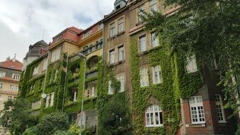 building with green plush in bratislava