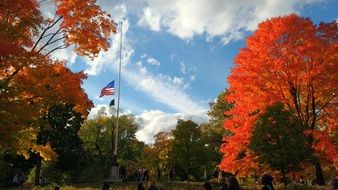 colorful Autumn Trees at Central Park in New York City