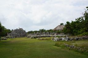 El Rey Archaeological Zone Mexico