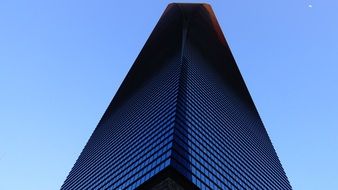 skyscraper in shanghai