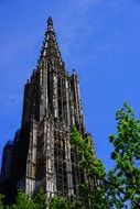 Ulm Cathedral Lutheran Church