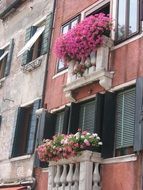 lush bright flowers on the balconies of the house