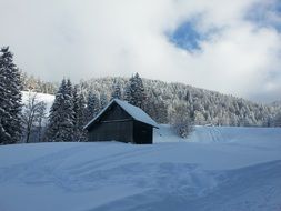 Winter Snow Home Switzerland