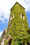 medieval tower in green vegetation