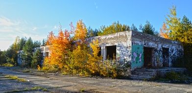 old abandoned building in autumn