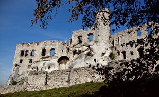 Ruins of the Jura castle of Krakow-Czestochow in Poland