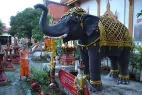 Elephant in Thailand