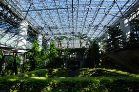 Beautiful big greenhouse