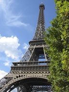 eiffel tower behind a green tree