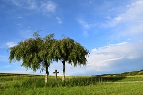 impeccably beautiful Field with Cross