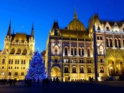 Budapest Parliament christmas tree