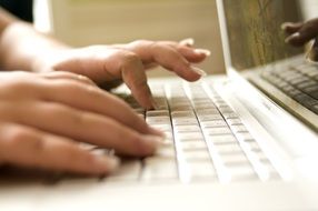 female hands typing on computer