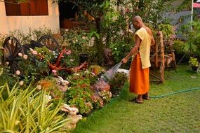 monk cares for a garden in thailand