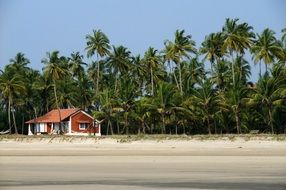 House on the beach with the palms
