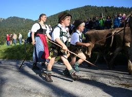 children in costumes drive cattle at a festival in Bararia