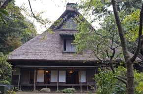 Japanese traditional house among the garden