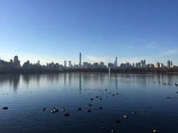 Large lake in NYC