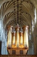 organ cathedral architecture