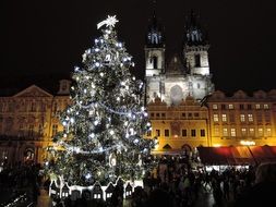 illuminated Christmas Tree on market square at night, czech, Prague