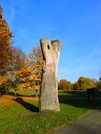 dead Tree trunk in Park at autumn