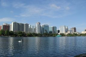 Swan on Lake Eola in view of city, usa, florida, Orlando