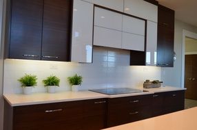 interior of the modern kitchen