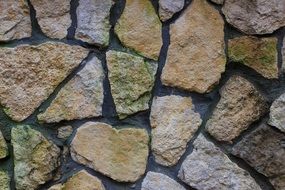 wild stone Wall cloe up