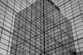 impeccably beautiful Black And White Lines