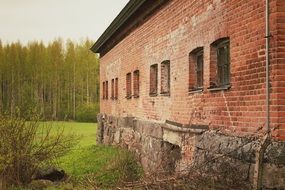 Brick Walls in a forest