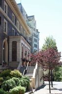 Building with plants at staircase on street