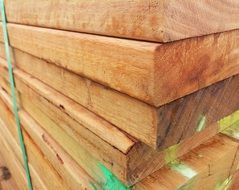 Timber for building