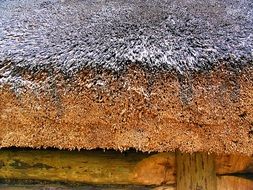 thatched roof of a rural cottage