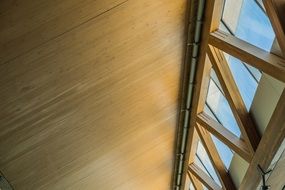glass and wooden roof structure