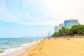 skyscrapers on the sea coast