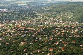 aerial view of a green suburb