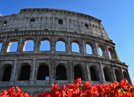 antique ruined historical coliseum in italy