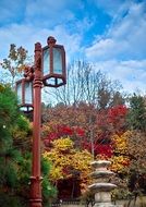 red street lantern in colorful Autumn park