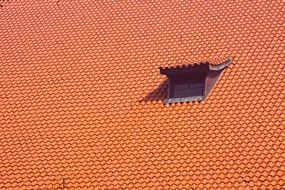 the window in a gothic church