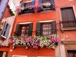 flowers on the balcony of an orange building