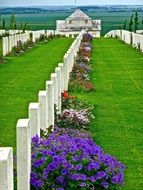 soldiers' gravestones