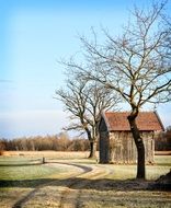 log cabin in countryside